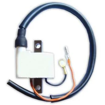 DZE IGNITION COIL 4021