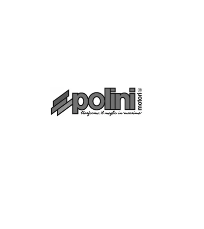 Segmento POLINI Ø46x1,5mm