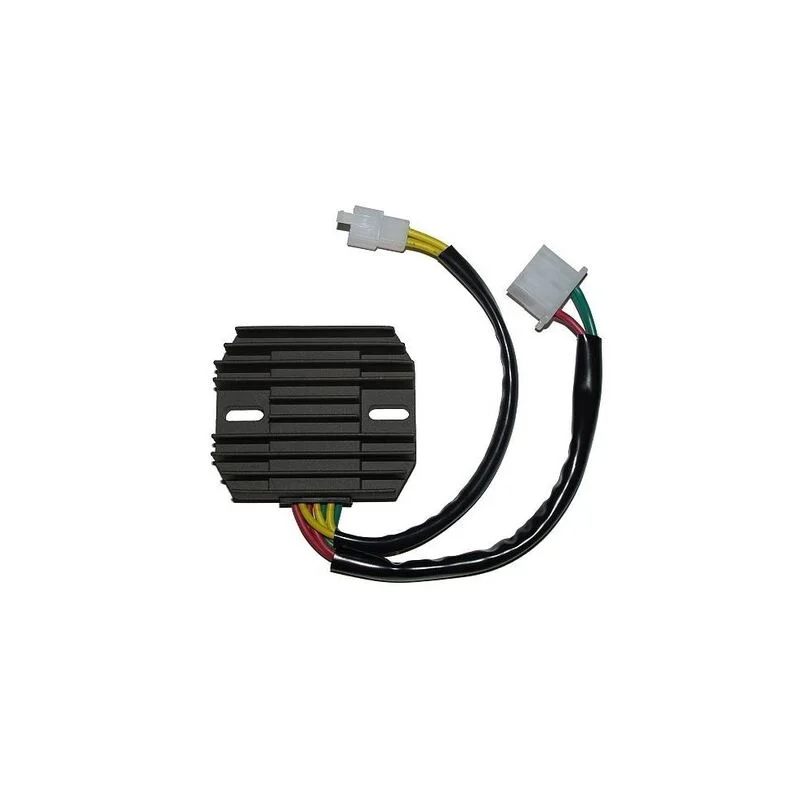 Regulador ELECTROSPORT