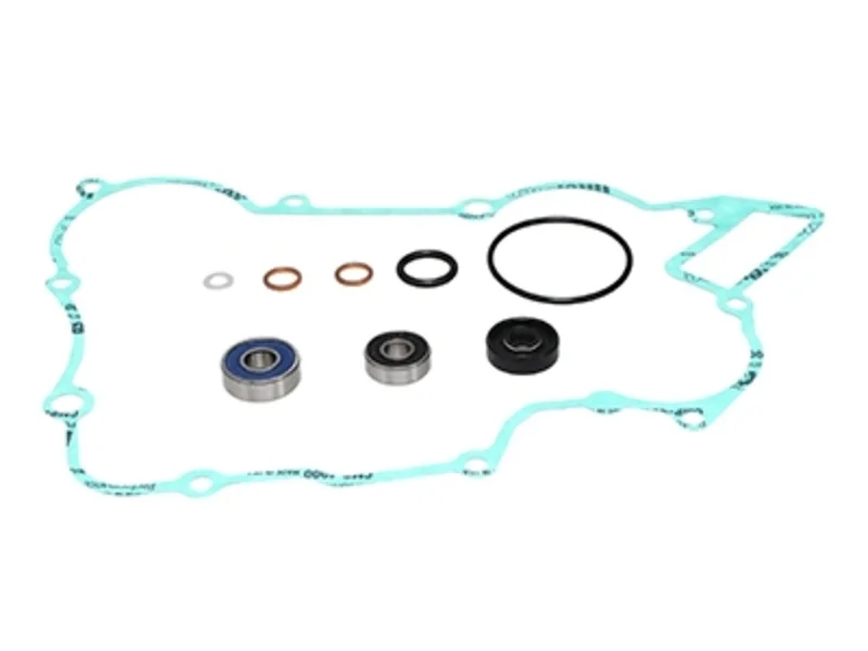 Kit reparación bomba de agua PROX