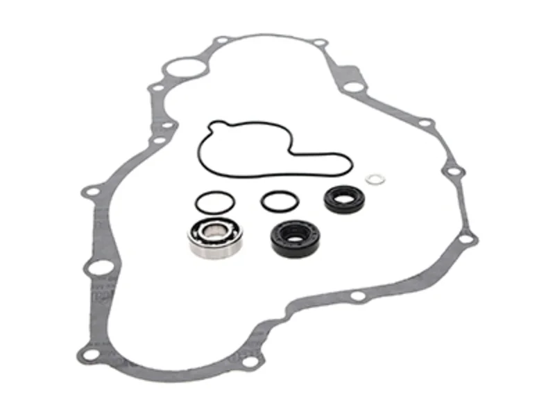Kit reparación bomba de agua PROX