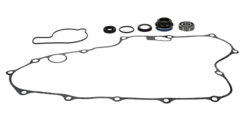 Kit reparación bomba de agua PROX