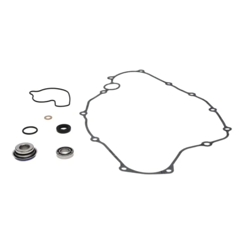 Kit reparación bomba de agua PROX