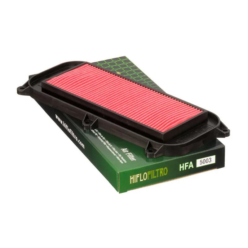 Filtro de aire HIFLOFILTRO - HFA5003