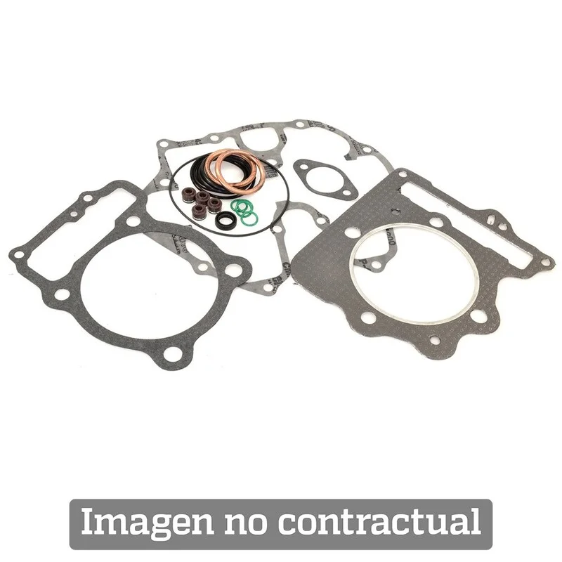 Kit completo juntas de motor Winderosa 808325