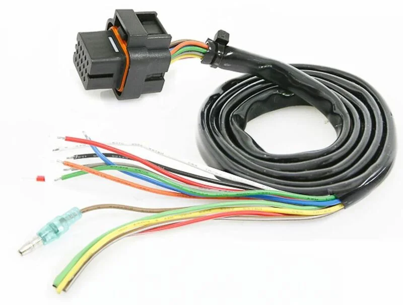 Cableado principal para KOSO DB01R BO018000