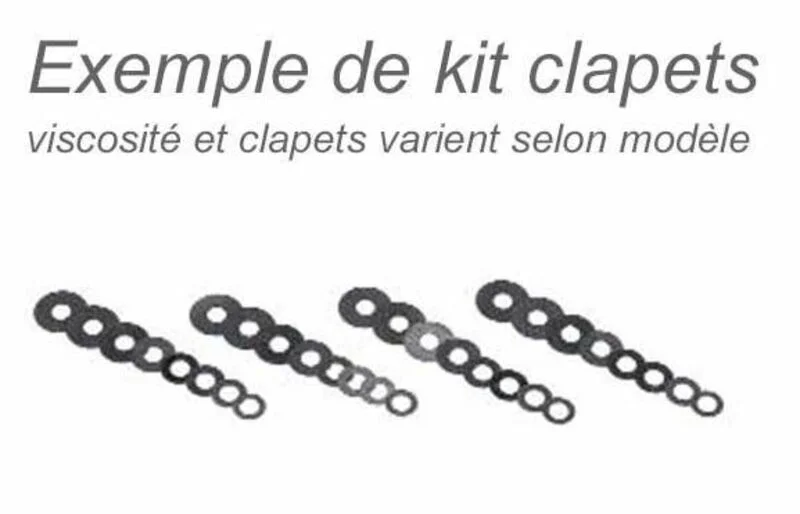 Kit mejora horquilla Racing Bitubo KFORK024WO