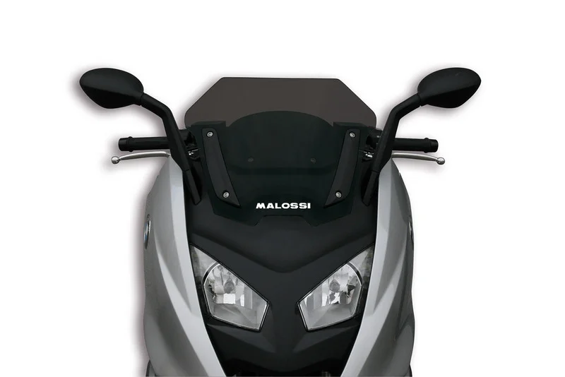 Pantalla MALOSSI Ahumada SPORT BMW C600 4515571B