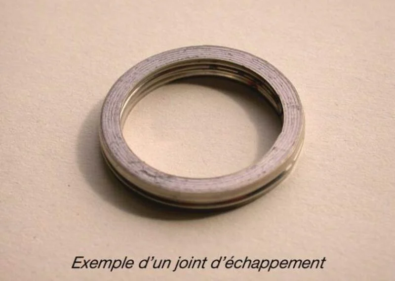 Junta de escape CENTAURO