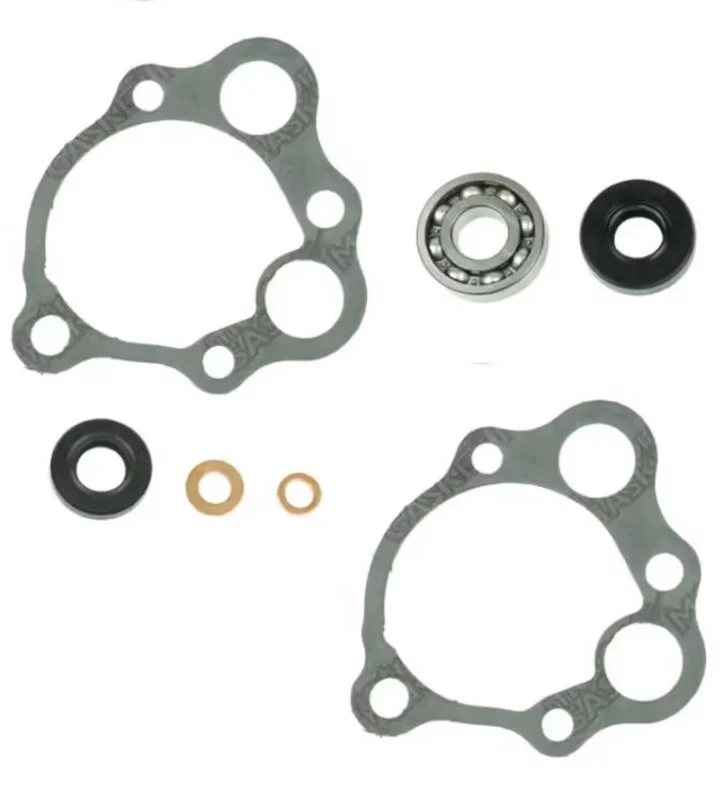 Kit reparación bomba de agua Centauro CR250 85-91 666A005WP