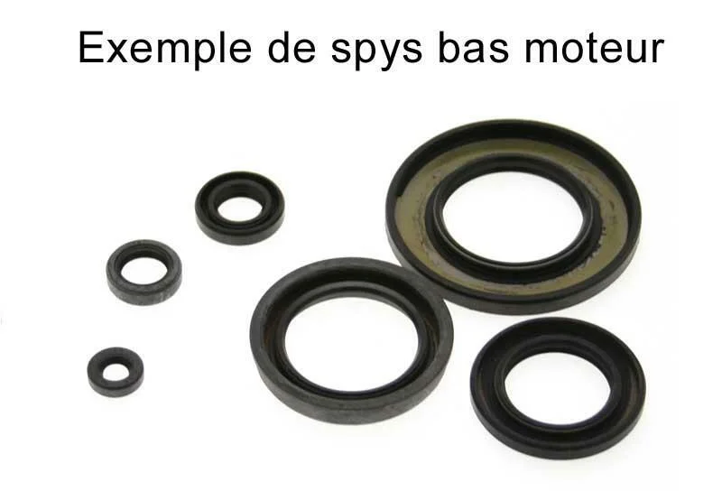 Kit de retenes de motor CENTAURO