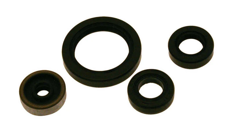 Kit de retenes de motor CENTAURO