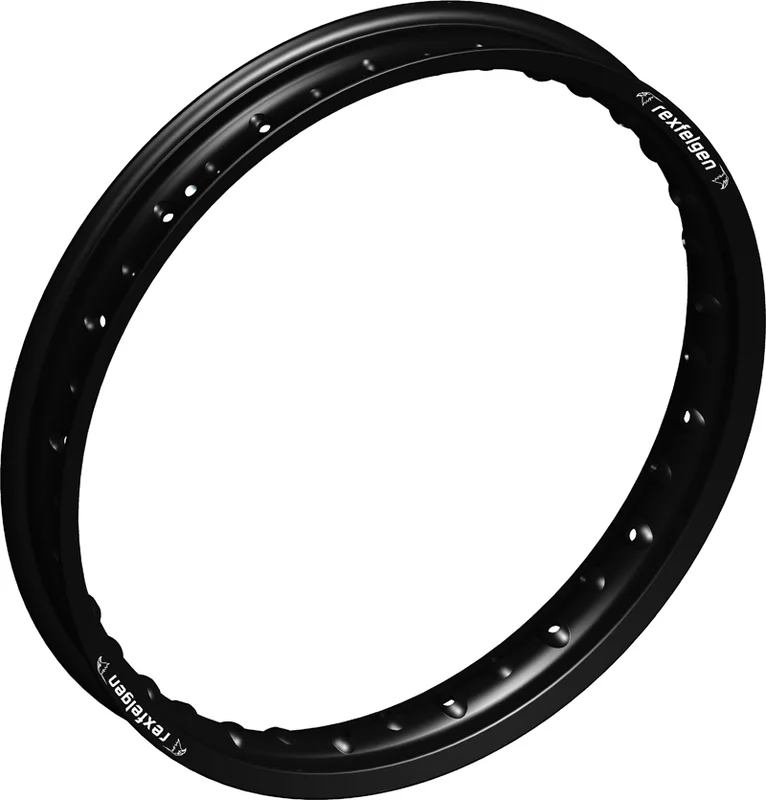 Llanta trasera RFX 19x2,15x36 , negra, para rueda completa