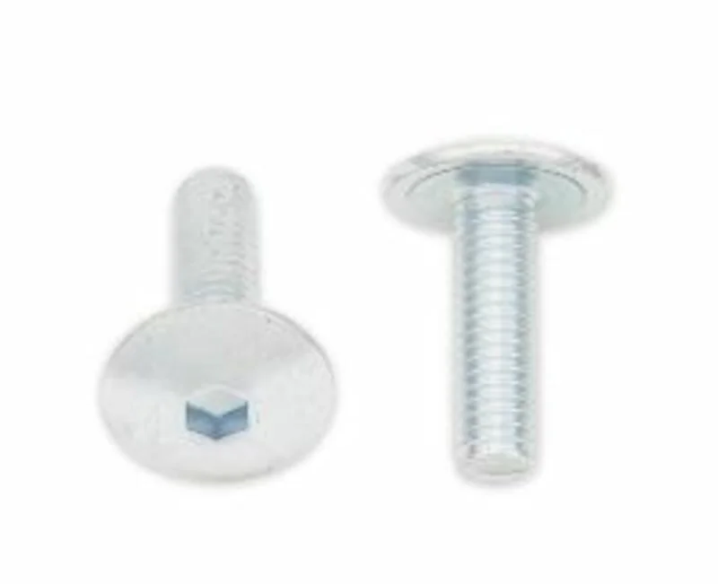 Tornillos cabeza redonda plana BOLT M6 x 1,00 x 20mm