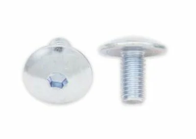Tornillos cabeza redonda plana BOLT M6 x 1,00 x 12mm