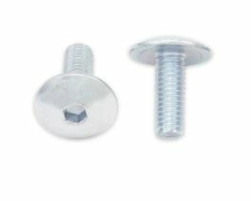 Tornillos cabeza redonda plana BOLT M6 x 1,00 x 16mm