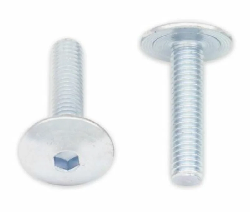 Tornillos cabeza redonda plana BOLT M6 x 1,00 x 25mm