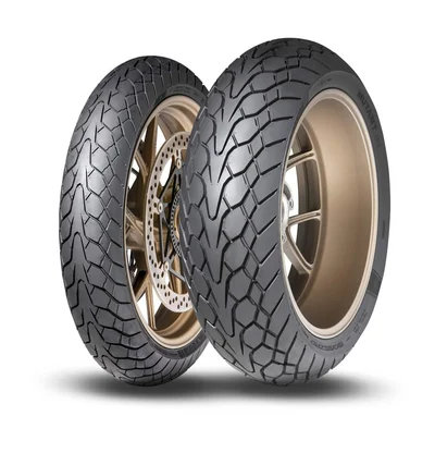 Neumático DUNLOP MUTANT 160/60 ZR 17 M/C (69W) TL M+S