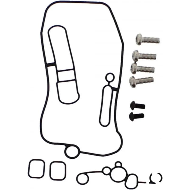 Kit juntas tóricas FCR + tornillos Torx de carburador TOURMAX