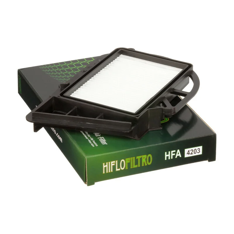 Filtro de aire de cárter Hiflofiltro HFA4203