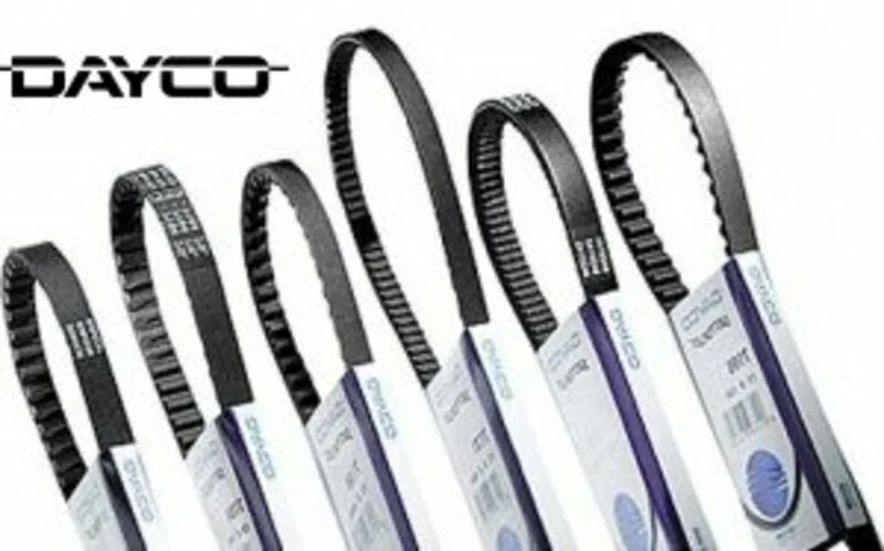 Correa de transmision DAYCO standard