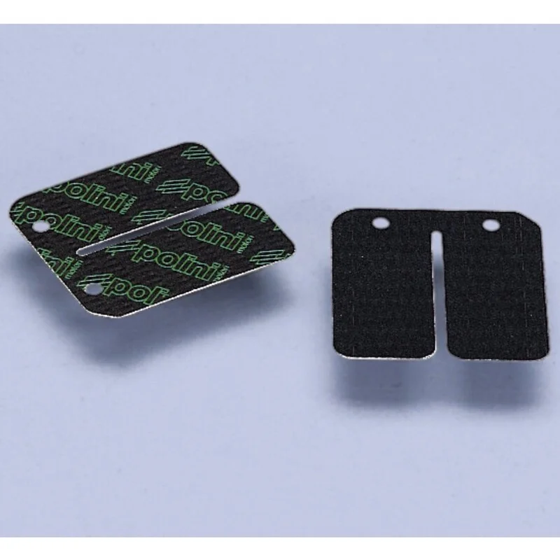 Láminas de carbono Polini Yamaha/Minarelli (213.0530)